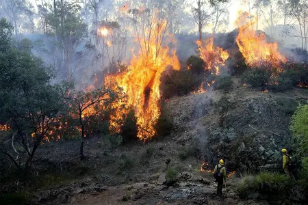 150000 AUD for victims of Australian bush fires